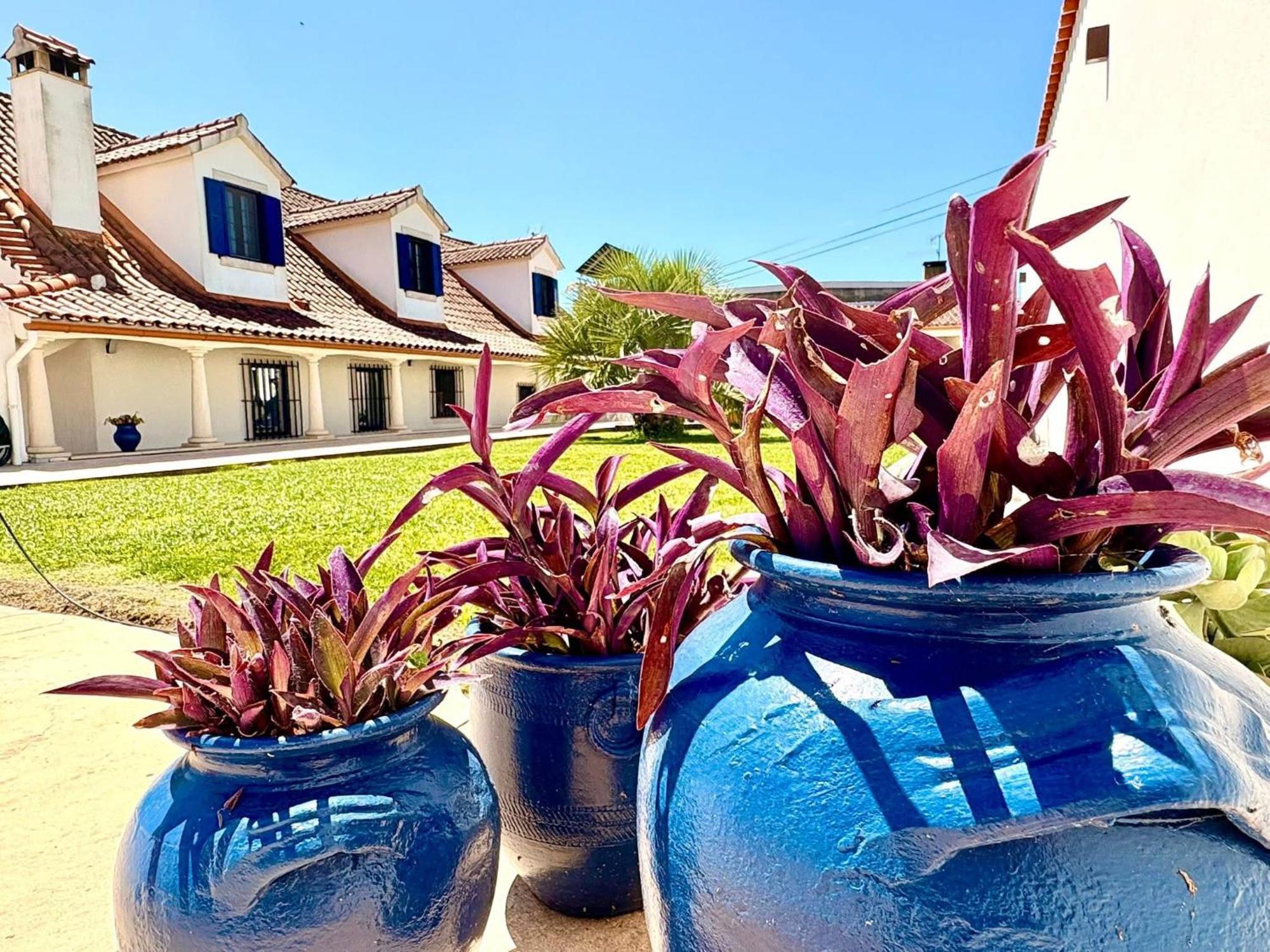Casal Dos Frades Bed & Breakfast Fontainhas  Exterior photo